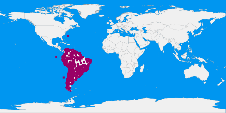 records map