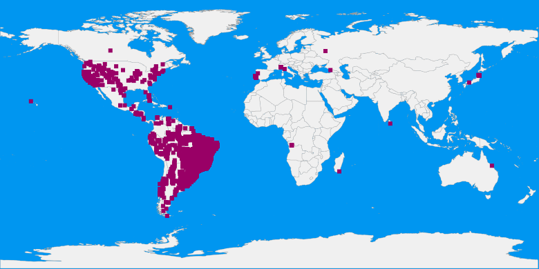 records map