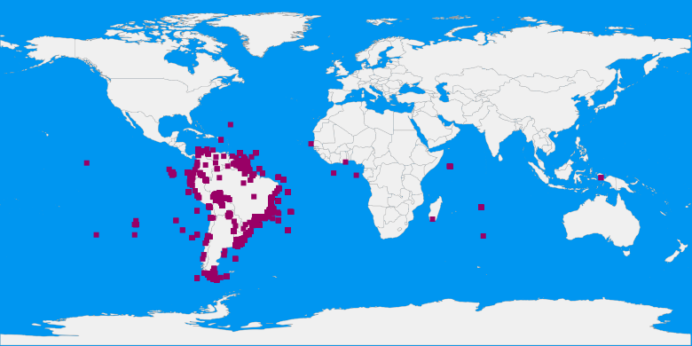 records map