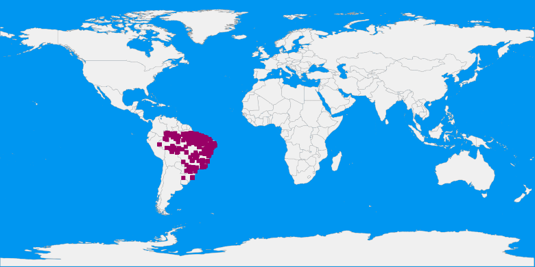 records map