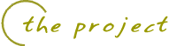 the project